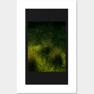 Grass Posters and Art